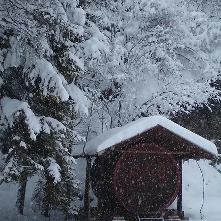 Schaber Casa de hóspedes 3*